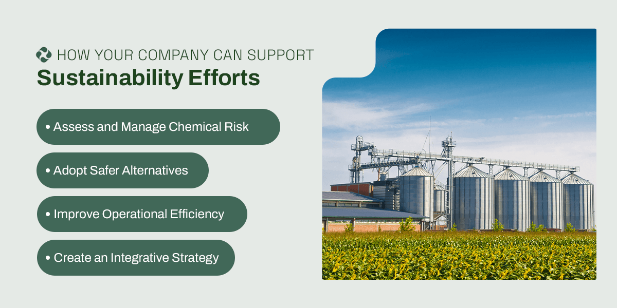 How companies can support environmental efforts